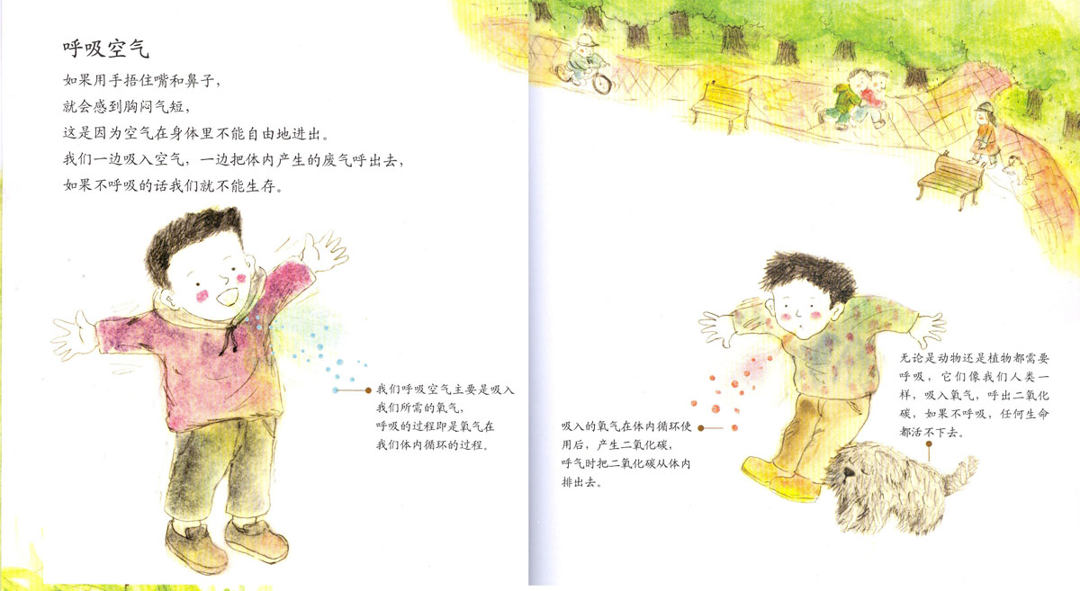 呼吸的空气 (04),绘本,绘本故事,绘本阅读,故事书,童书,图画书,课外阅读
